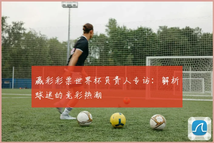 赢彩彩票世界杯负责人专访：解析球迷的竞彩热潮