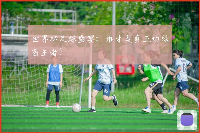 世界杯足球盛宴:谁才是真正的绿茵王者?