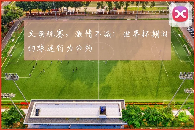 文明观赛，激情不减：世界杯期间的球迷行为公约