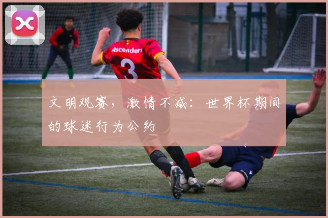 文明观赛，激情不减：世界杯期间的球迷行为公约