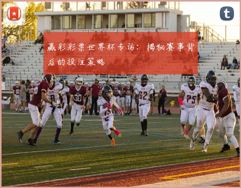 赢彩彩票世界杯专访：揭秘赛事背后的投注策略