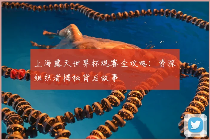 上海露天世界杯观赛全攻略：资深组织者揭秘背后故事