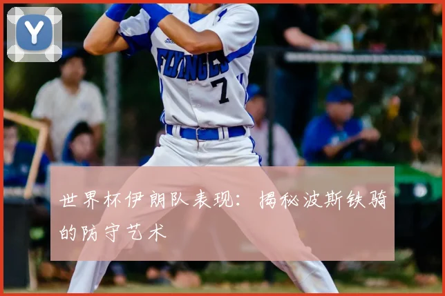 世界杯伊朗队表现:揭秘波斯铁骑的防守艺术